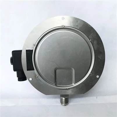 Double Flange Type Diaphragm Pressure Gauge