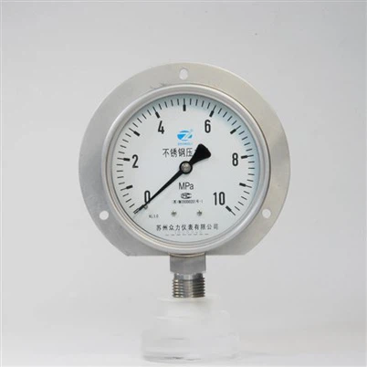 Panel Mount All SS Pressure Gauge with Bottom Entry